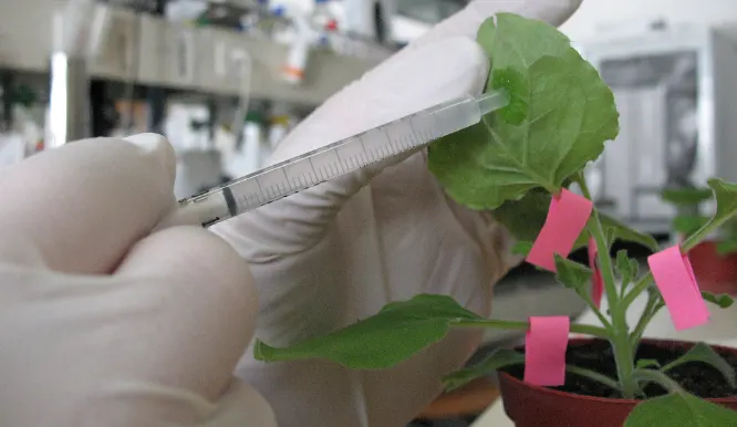 Conservation Biology and Biotechnology