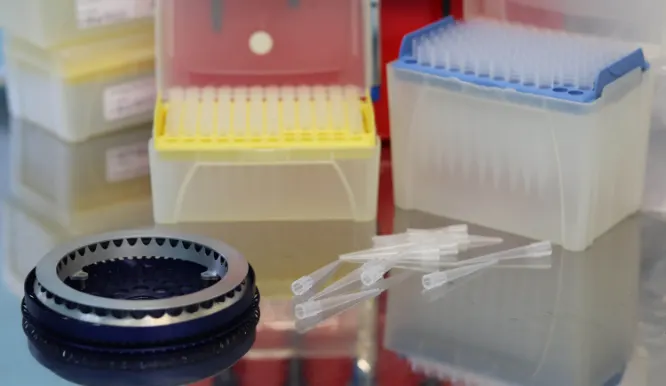 Conservation Genetics Division