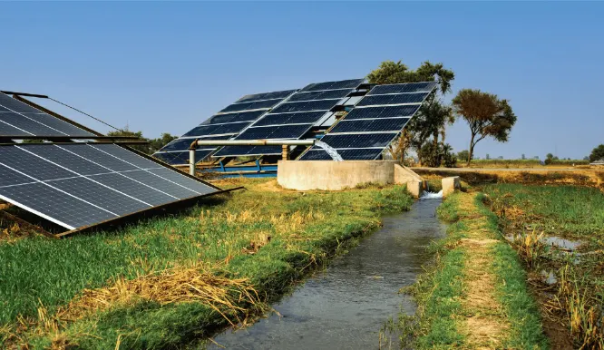 Consultancy Services